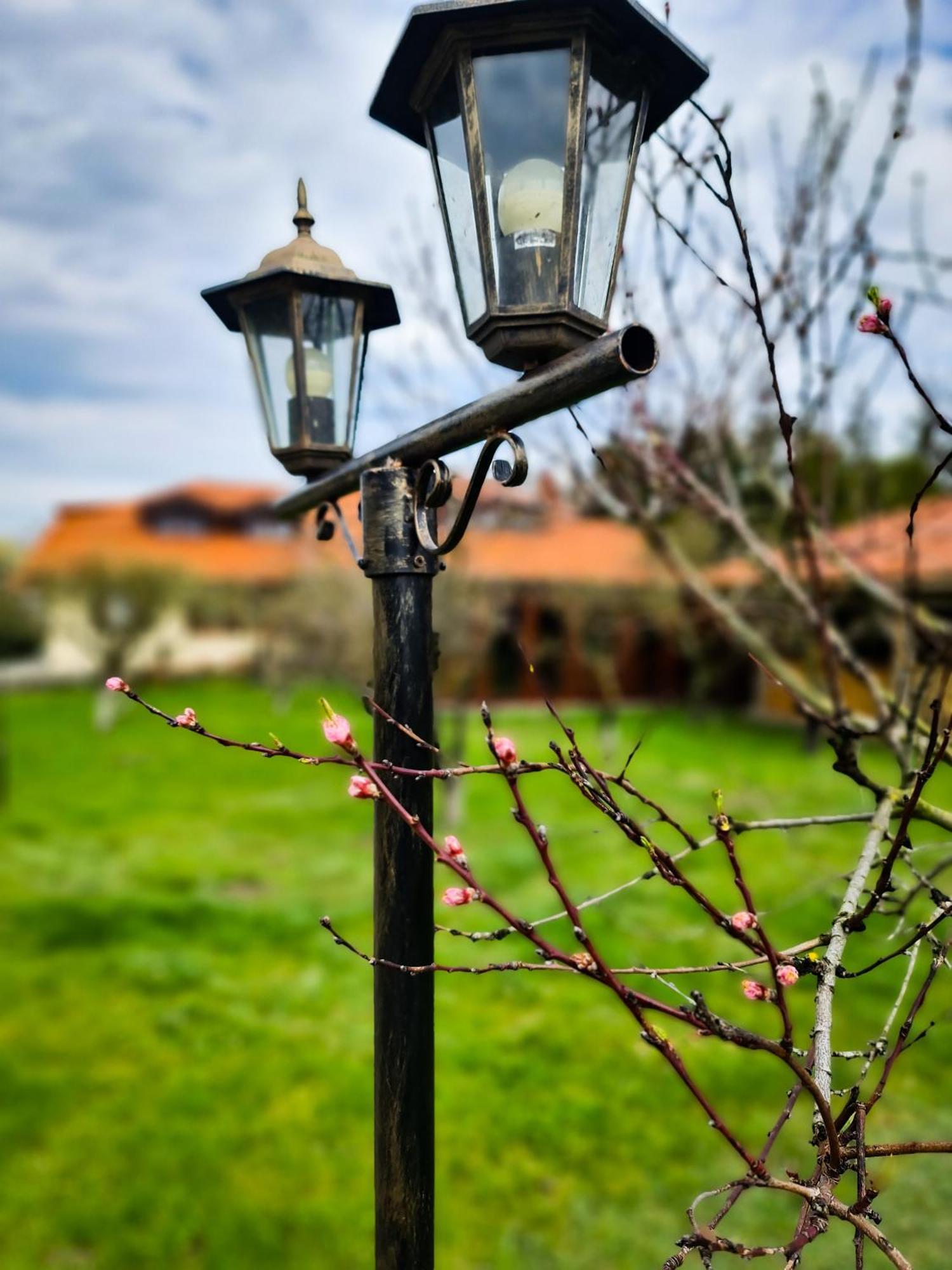 Gosciniec Gryszczeniowka & Spa Wargowo ภายนอก รูปภาพ