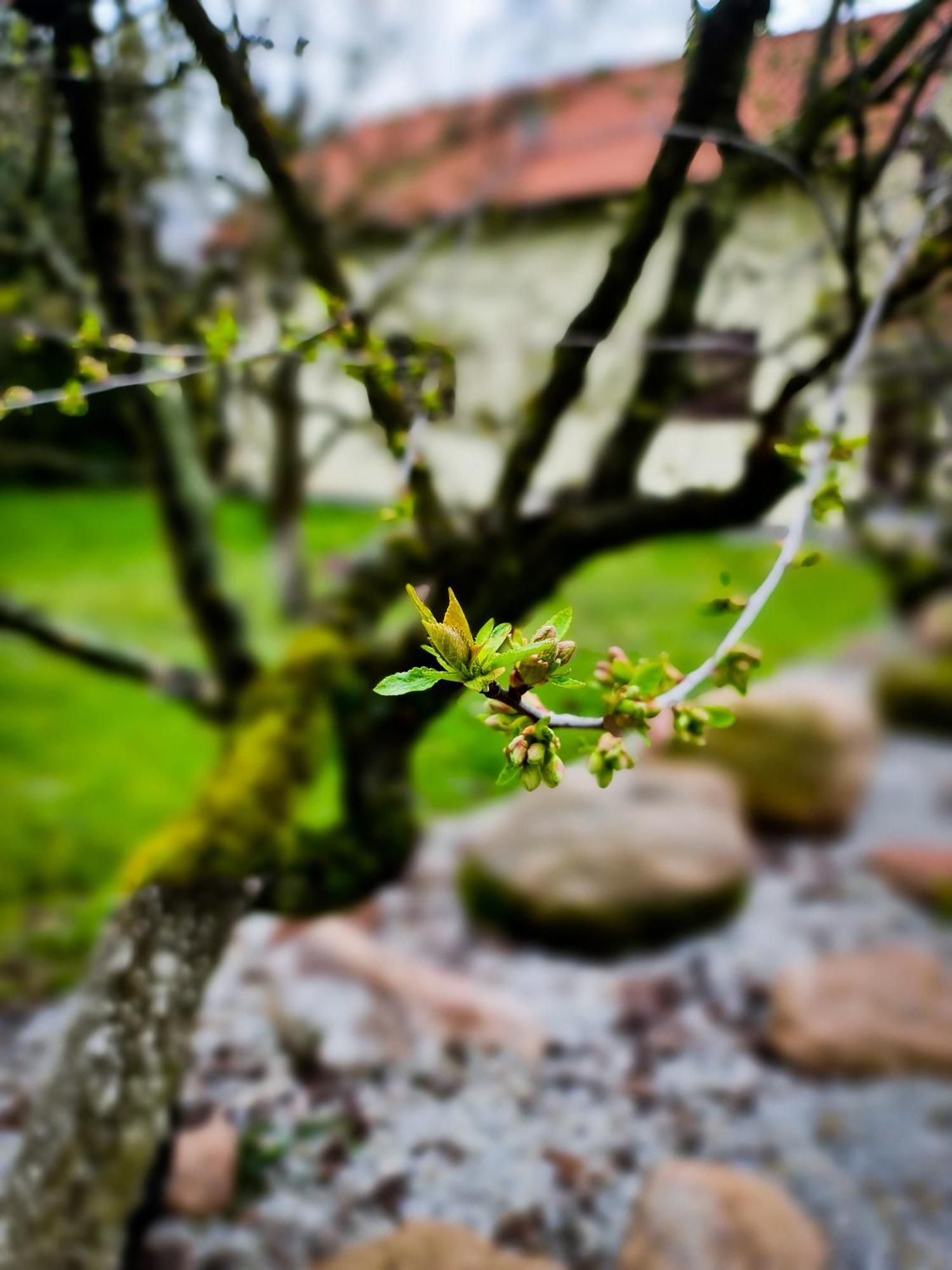Gosciniec Gryszczeniowka & Spa Wargowo ภายนอก รูปภาพ