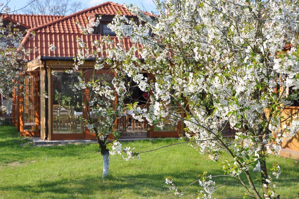 Gosciniec Gryszczeniowka & Spa Wargowo ภายนอก รูปภาพ